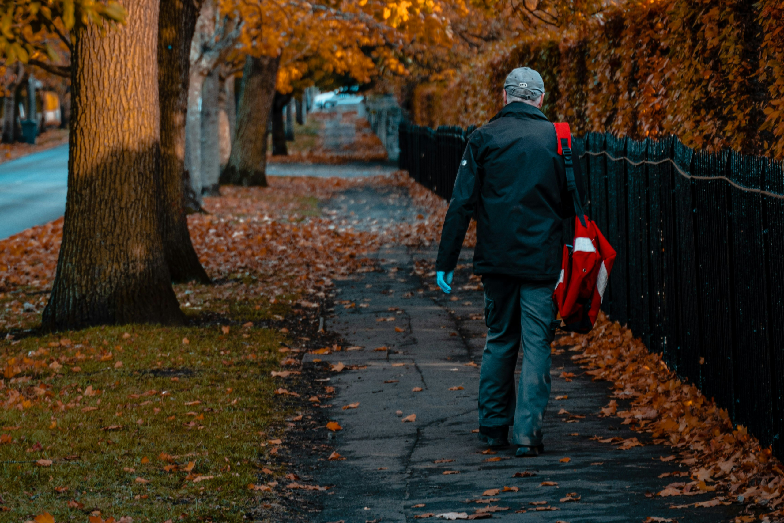 A postman with a red bag walks down a tree-lined sidewalk (Photo by Cameron Gibson via Unsplash)